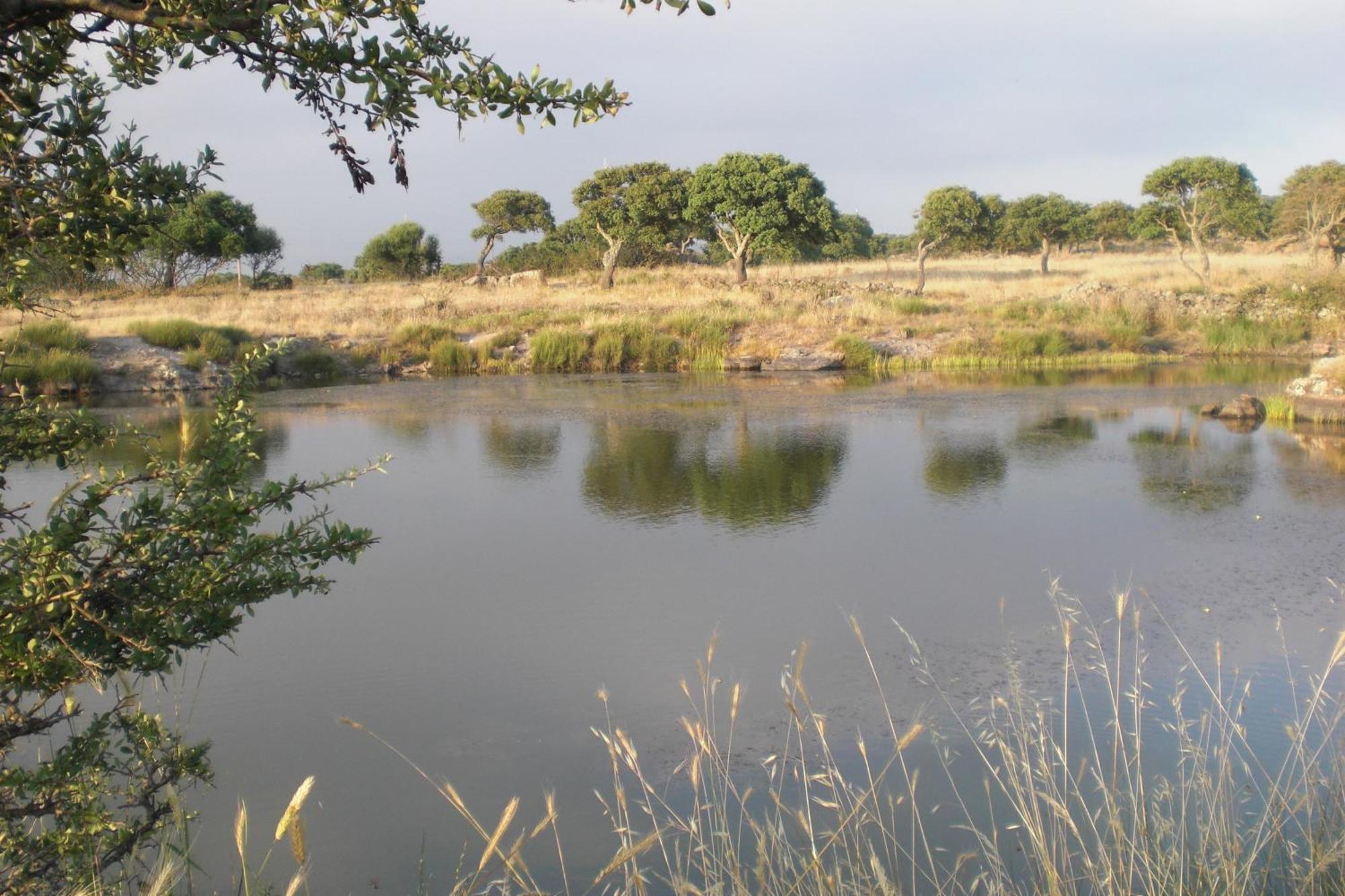 Chiaramonti Agriturismo Pentuma מראה חיצוני תמונה