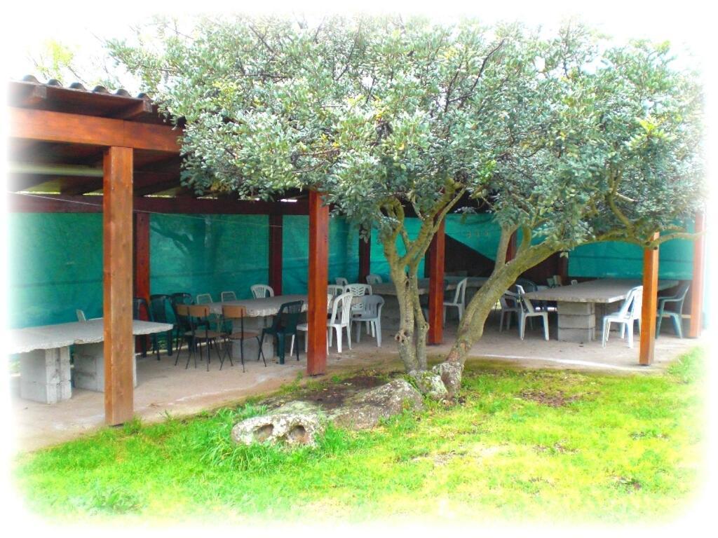 Chiaramonti Agriturismo Pentuma מראה חיצוני תמונה
