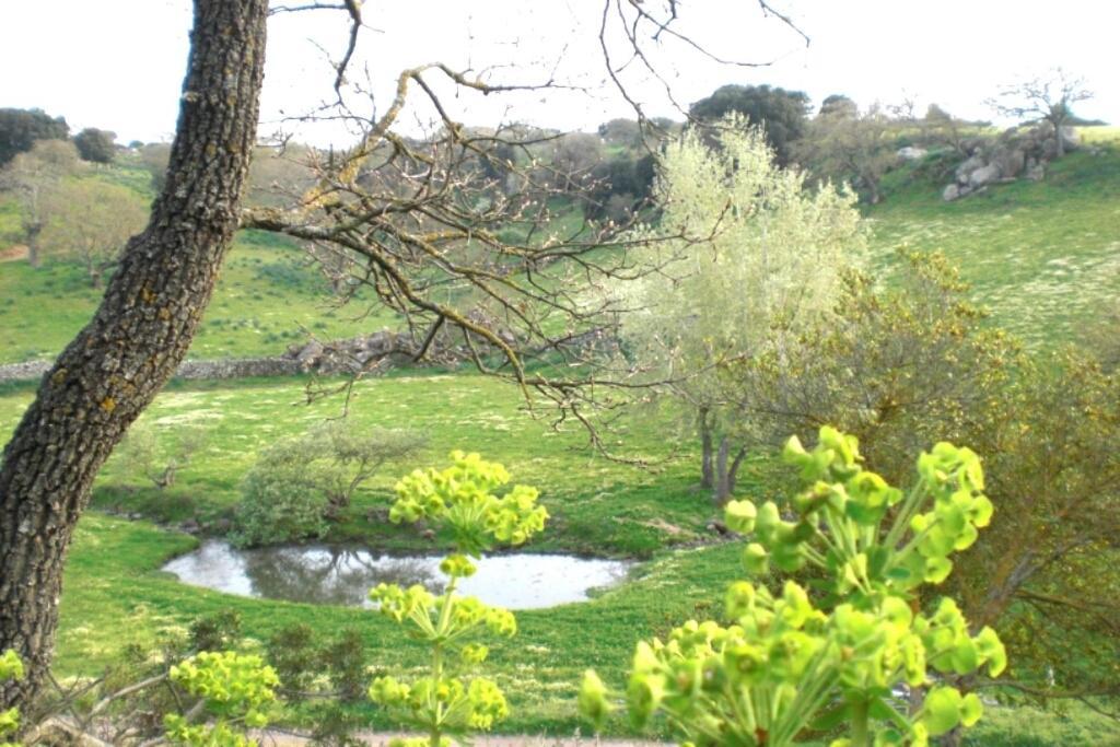Chiaramonti Agriturismo Pentuma מראה חיצוני תמונה