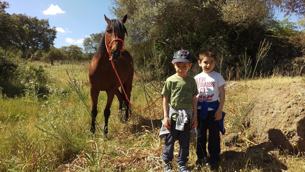 Chiaramonti Agriturismo Pentuma מראה חיצוני תמונה