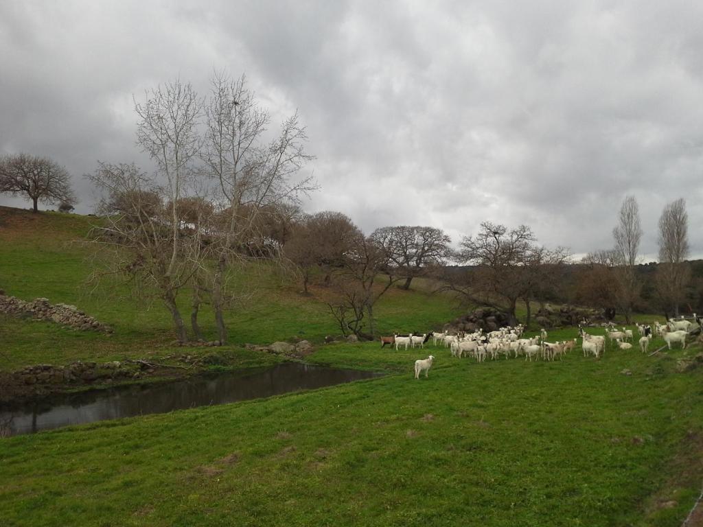 Chiaramonti Agriturismo Pentuma מראה חיצוני תמונה