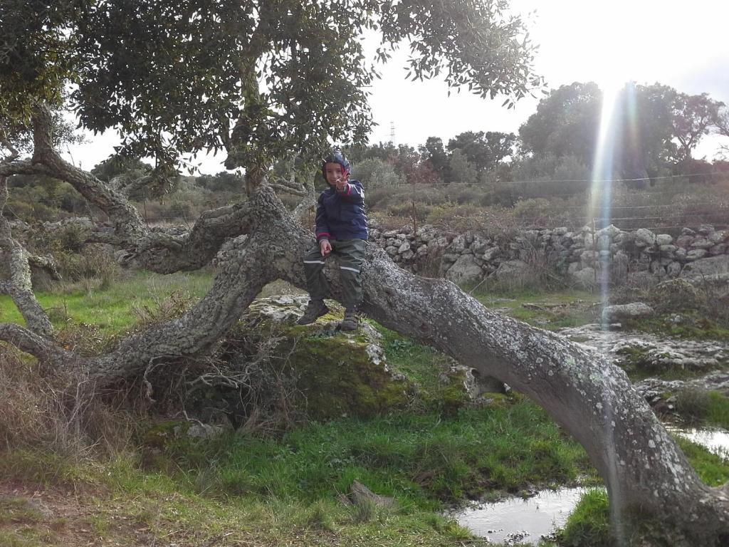 Chiaramonti Agriturismo Pentuma מראה חיצוני תמונה
