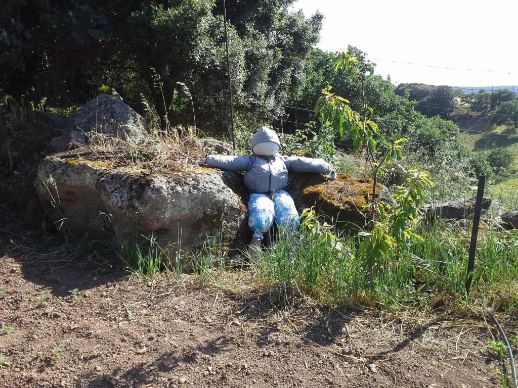 Chiaramonti Agriturismo Pentuma מראה חיצוני תמונה